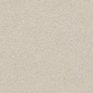 YOUR COMFORT I by Shaw Floors - Need A Hug