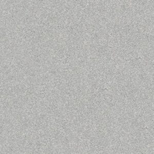 YOUR COMFORT I by Shaw Floors - Polished Silver