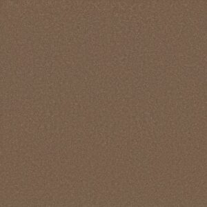AWAKEN SPIRIT I by Shaw Floors - Copperglaze