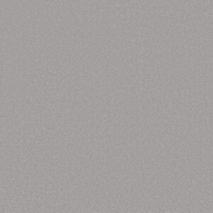 AWAKEN SPIRIT II 12' by Shaw Floors - Gentle Rain