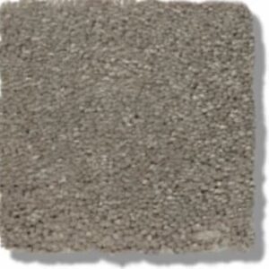 SOLIDIFY I 12' by Shaw Floors - Natural Contour