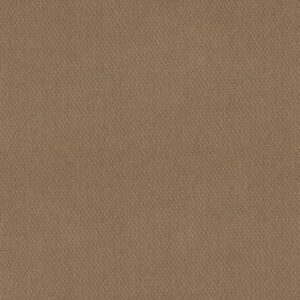 SIMPLY CLASSIC by Shaw Floors - Worn  Path