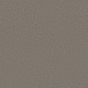 POSH LIFE by Shaw Floors - Ashes