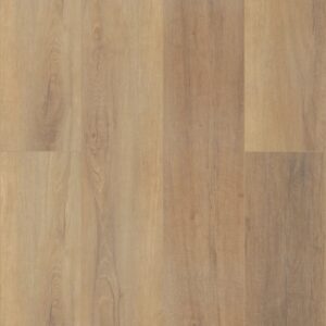 Coretec Pro Plus Enh Hd 9 by COREtec - Canterbury Elm