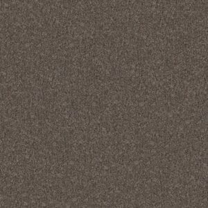 YES YOU CAN II 12' by Shaw Floors - Cafe Noir