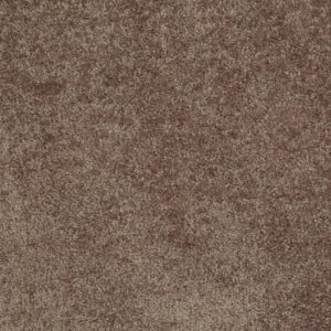 ROYAL PORTRUSH I 15 by Shaw Floors - Cattail