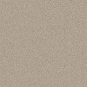 HARMONIOUS I by Shaw Floors - Sandstone