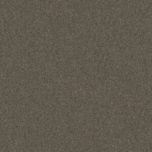 WITHOUT LIMITS II by Shaw Floors - Boardwalk