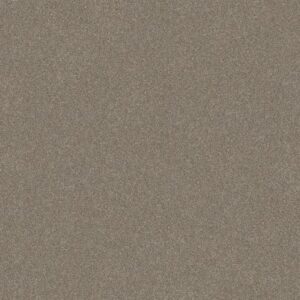 WITHOUT LIMITS II by Shaw Floors - Macadamia