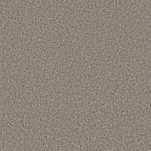 BREAK AWAY (B) by Shaw Floors - Dolphin