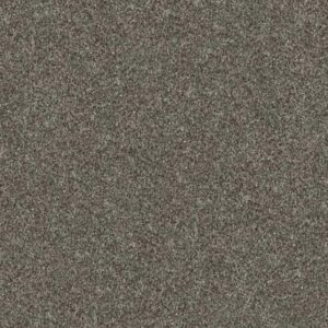 WITHOUT LIMITS III by Shaw Floors - Organic