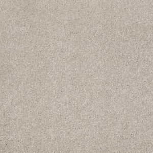 OPPORTUNITY KNOCKS by Shaw Floors - Greige