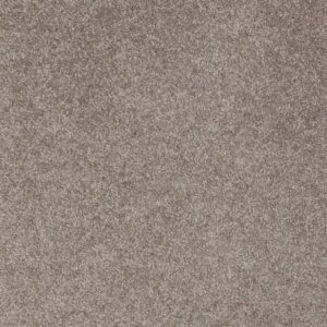 OPPORTUNITY KNOCKS by Shaw Floors - Ashen