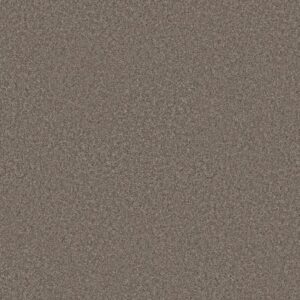 YOU GOT THIS II by Shaw Floors - Cobblestone