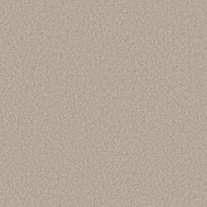 YOU GOT THIS II by Shaw Floors - Natural