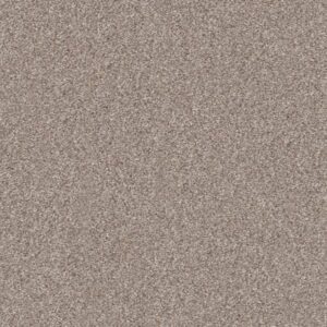 TRUSPIRIT I by Shaw Floors - Lady Liberty