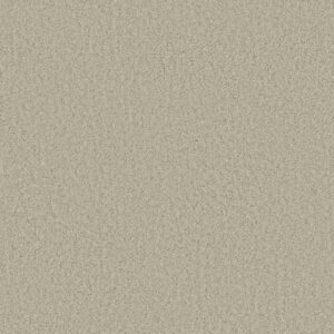 PREMIER ROLE by Shaw Floors - Sailcloth