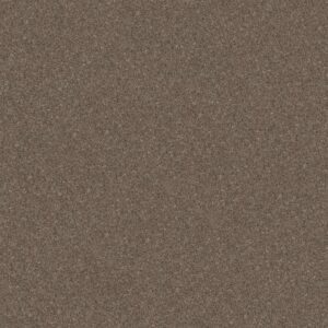 GO AFTER IT 1 by Shaw Floors - Tree House