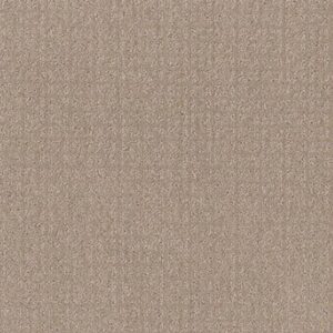 TRANSFORM by Shaw Floors - Fresh Baked