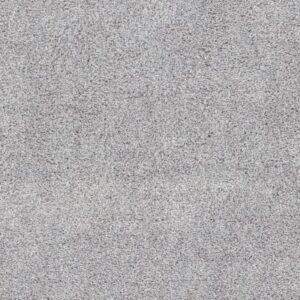 QUIET SANCTUARY by Shaw Floors - Winters Dawn