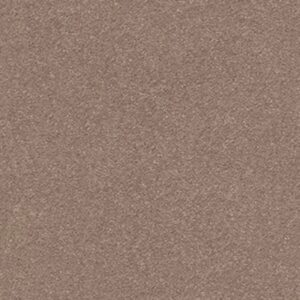 MONTAGE II by Shaw Floors - Hidden Treasure