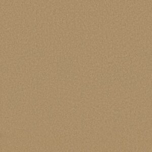 EVERYDAY COMFORT (S) by Shaw Floors - Toast