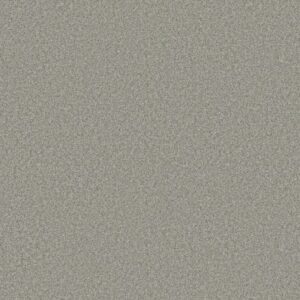 YOU GOT THIS III by Shaw Floors - Frosted Leaf