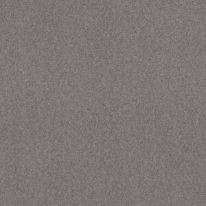 SWEET INSPIRATION I by Shaw Floors - Charcoal