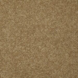 LUXURY BAY I by Shaw Floors - Honey Pot