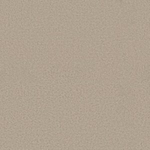AERIAL VIEW by Shaw Floors - Tiramisu