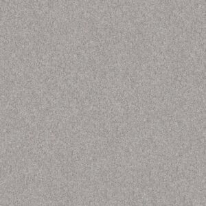 POISED by Shaw Floors - Great Greige