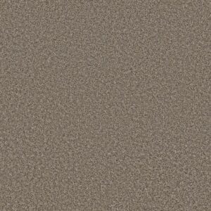ALL ABOUT IT by Shaw Floors - Park Trail