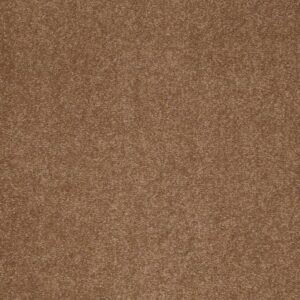 SANDY HOLLOW CLASSIC I 15 by Shaw Floors - Windmill