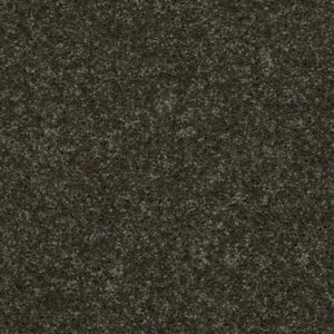 ALL STAR WEEKEND III 15' by Shaw Floors - Garden Grove
