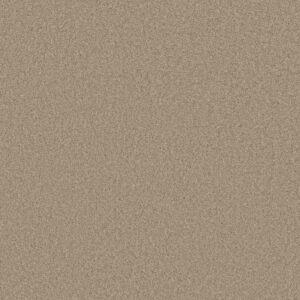 LOYAL BEAUTY III by Shaw Floors - Clay Stone