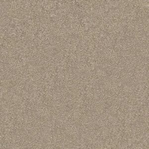 FIND YOUR COMFORT NS I by Shaw Floors - Dockside View (S)