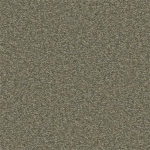 TIMELESS APPEAL II 15' by Shaw Floors - Alpine Fern