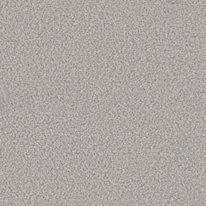 ELEMENTAL MIX II by Shaw Floors - Whitewash