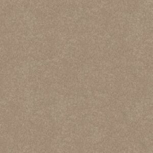 STEP RIGHT UP I 12' by Shaw Floors - Natural Beige
