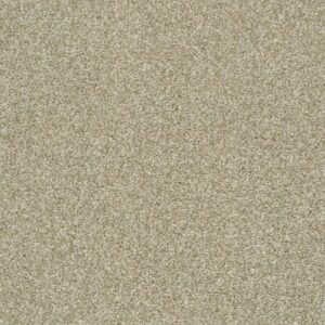 CABANA LIFE (T) by Shaw Floors - Wheat Field