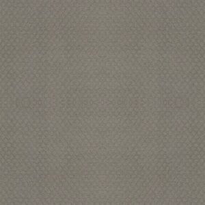 ENTWINED WITH YOU by Shaw Floors - Silhouette