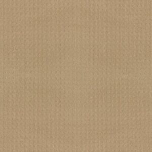 ALLURING DISPOSITION by Shaw Floors - Golden Rule