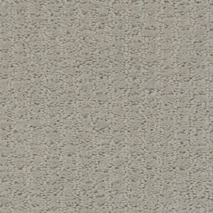 COMPLETE CONTROL by Shaw Floors - Quiet Moment