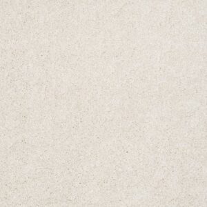 ALWAYS READY II by Shaw Floors - Sentimental