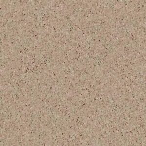 NEWBERN CLASSIC 12' by Shaw Floors - Dusty Trail