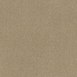 TIP OF THE HAT by Shaw Floors - Wool Skein