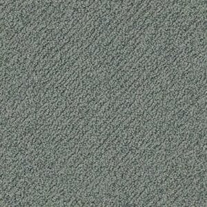 ARTIST VIEW LOOP by Shaw Floors - Atmosphere