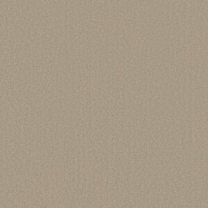 TIMELESS APPEAL III 12' by Shaw Floors - Oatmeal