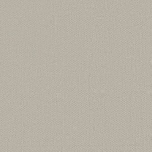 INFALLIBLE INSTINCT by Shaw Floors - Rock Crystal