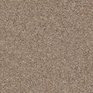 ELEMENTAL MIX I by Shaw Floors - Cobble Drive